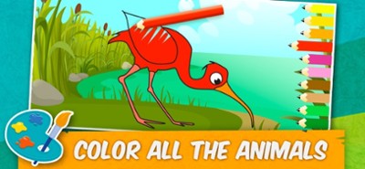 Birds: Puzzles &amp; Games Kids 2+ Image