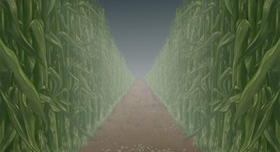 The Maize Maze Image