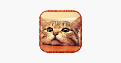 Cat Runaway on Valentine Day - Cute Kitten Games Image