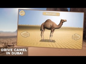 Drive Camel Simulator Image