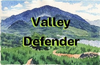 Valley Defender Image