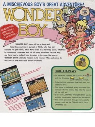 Wonder Boy Game Cover