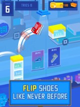 Flippy Kicks Image