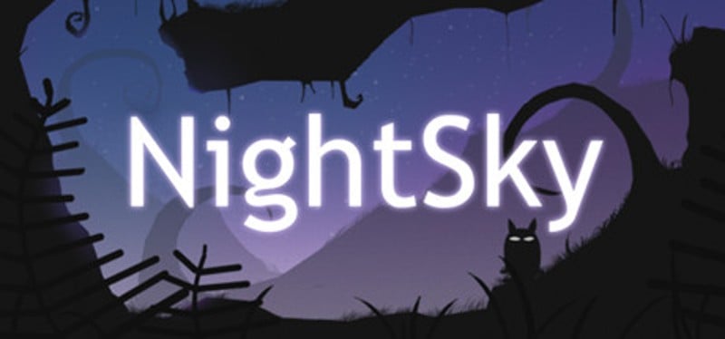 NightSky Game Cover