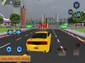 Driving Car: City Life Parking Image