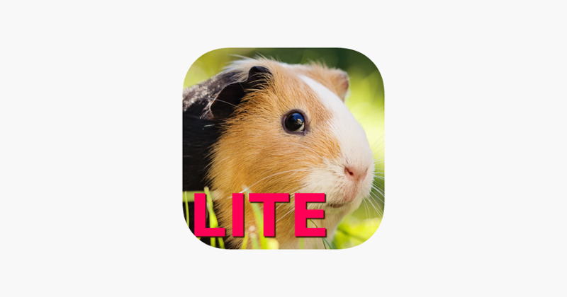 Guinea Pig Jigsaw Puzzle Games Game Cover