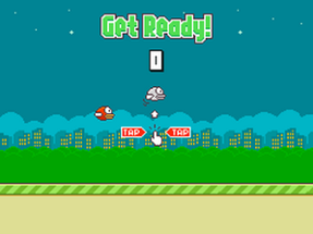 Flappy Bird DS Image