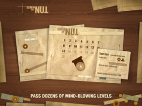 Screw the Nut: Physics puzzle Image