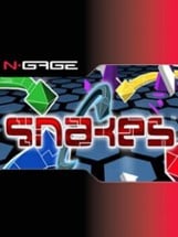 Snakes Image