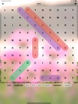 Word Connect: Puzzle Crossword Image