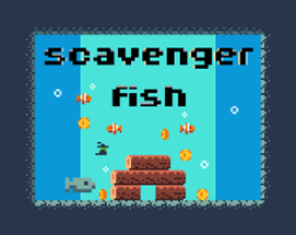 Scavenger Fish Image