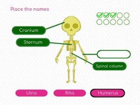 BodyQuest: Anatomy for kids Image