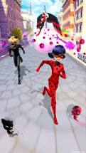 Miraculous Ladybug & Cat Noir Image