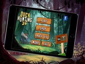 Duck Hunting Sport 3D Image