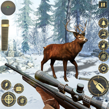 Jungle Deer Hunting Image