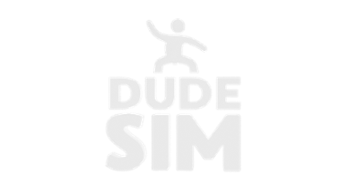 Dude Sim Image