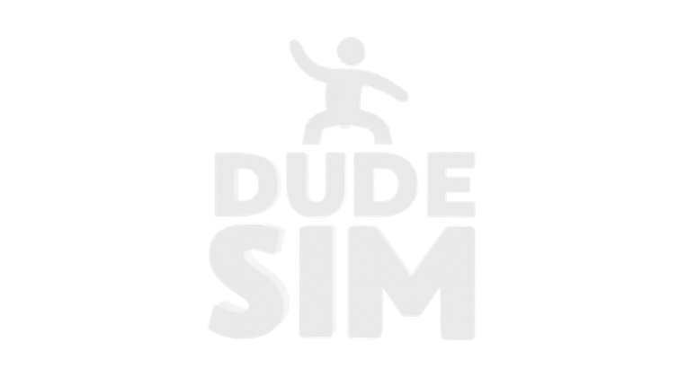 Dude Sim Game Cover