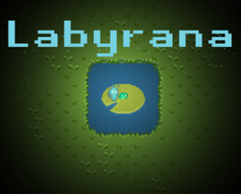 Labyrana Image