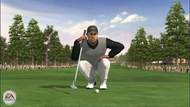 Tiger Woods PGA Tour 07 Image
