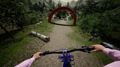 DownhillVR Image