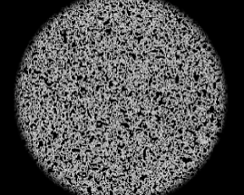 Cyclic Cellular Automata #Exp 1 Image