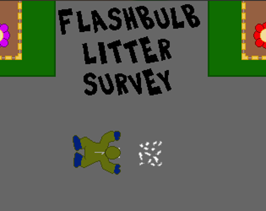 Flashbulb Litter Survey Game Cover