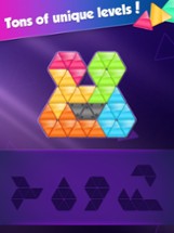 Block! Triangle Puzzle:Tangram Image