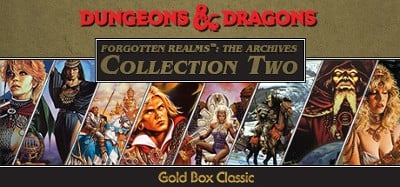 Forgotten Realms: The Archives - Collection Two Image