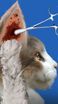 Cat Makeover Image