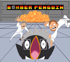 Bomber Penguin Image