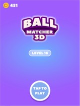 Ball Matcher 3D Image