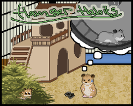 Hamster Habits Image