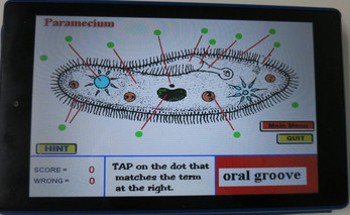 Label that Diagram - Cells Image