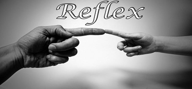 Reflex Game Cover