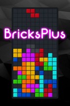 BricksPlus Image