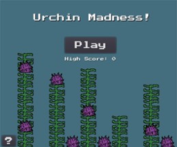 Urchin Madness! Image