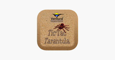 Tic-Tac-Tarantula Image