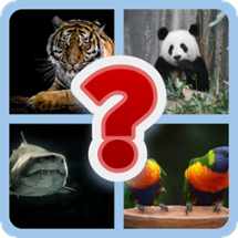 Animal Trivia: Ultimate Guess Challenge Image