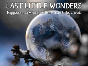 Last Little Wonders Image