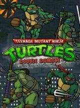 Teenage Mutant Ninja Turtles: Double Damage Image