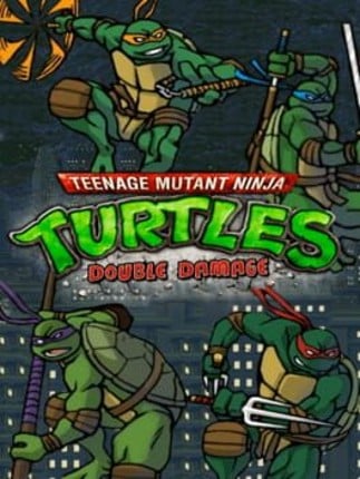 Teenage Mutant Ninja Turtles: Double Damage Game Cover