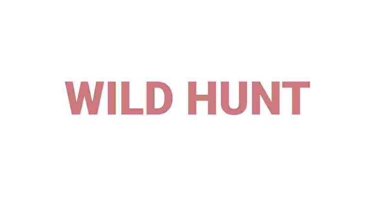 Wild Hunt Game Cover