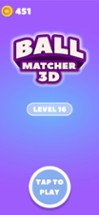 Ball Matcher 3D Image