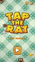 Tap The Rat - Kitty Quick Tap Mouse! and Fun Game Image