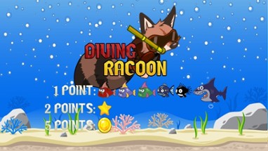 Diving Racoon Image