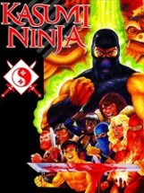 Kasumi Ninja Image