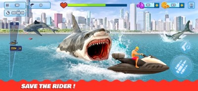 Shark Hunting Games: Sniper 3D Image