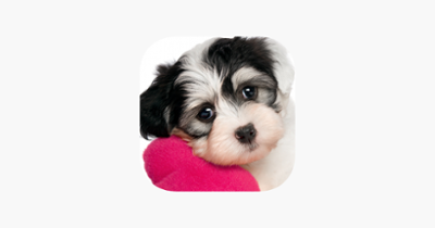 Cute Puppy Jigsaw Puzzle Games Image