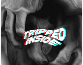 Tripped Inside Image