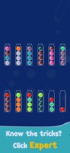 Color Ball Sort - Puzzle Game Image